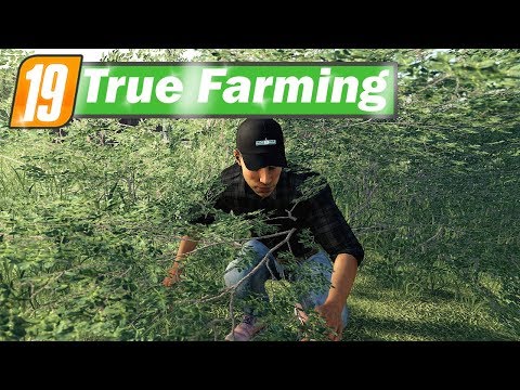 LS19 True Farming #103 - Dafür gibt es einfach keinen Videotitel!!! | Farming Simulator 19