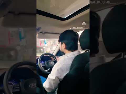 A Quit 🦁 Lion is More Dangerous then 100 Barking Dogs 💪😎👑 TAUSEEF BADSHAH 👑