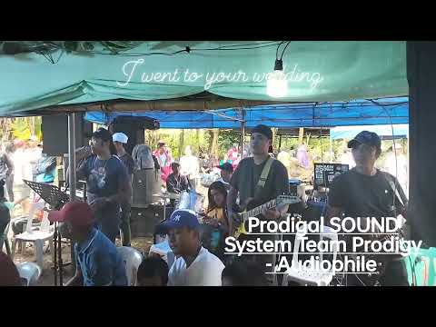 I WENT TO YOUR WEDDING