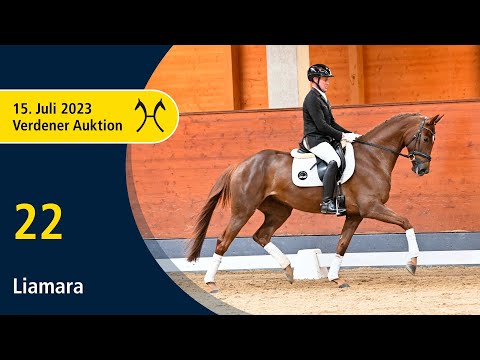 Verden Auction Online - Sporthorses - July, 15th - No. 22 Liamara by Livaldon - Edward
