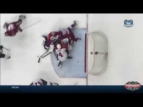 Antoine Vermette controversial goal against Luongo - Phoenix Coyotes vs. Florida Panthers