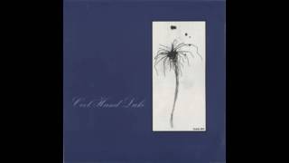 05 Window Seats and Last Wishes