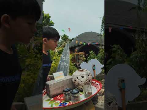 Turtle Bay Cafe Promo