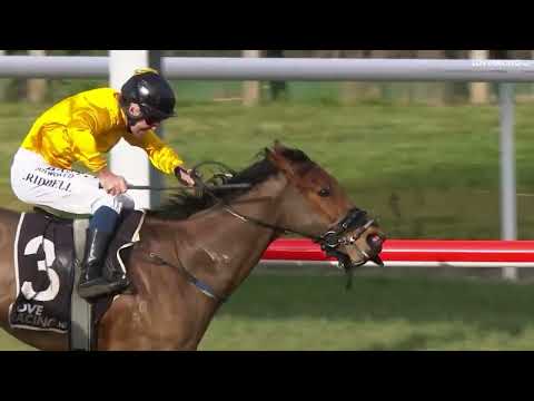 Ride of the Week - Jonathan Riddell