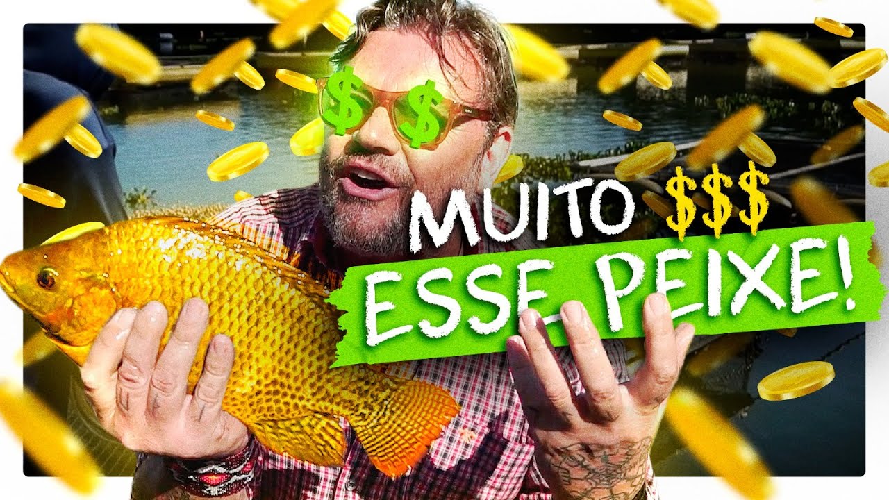 TILÁPIA DE REDE, OURO EM FORMA DE PEIXE! | RICHARD RASMUSSEN