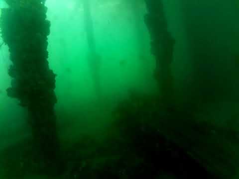 Edithburgh Live by AusOcean 28/02/2023