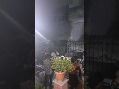 Sajmiri Verit Xhepi Vogel