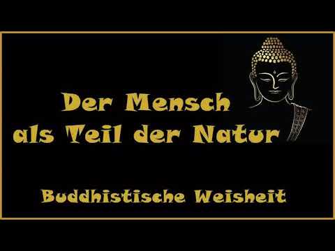 Zur Inspiration: Der Mensch als Teil der Natur - Buddhistische Weisheit