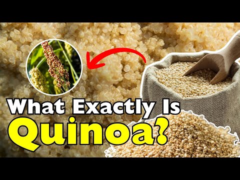 What Exactly Is Quinoa? The Truth Behind This ‘Super Grain
