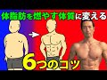 今後の人生、太らない体に!体脂肪を減らしやすい体質に変える6つのコツ。お腹のぜい肉を減らして、永遠に引き締まった体に!