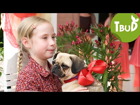 Party-Animals (Folge 30) | Tiere bis unters Dach