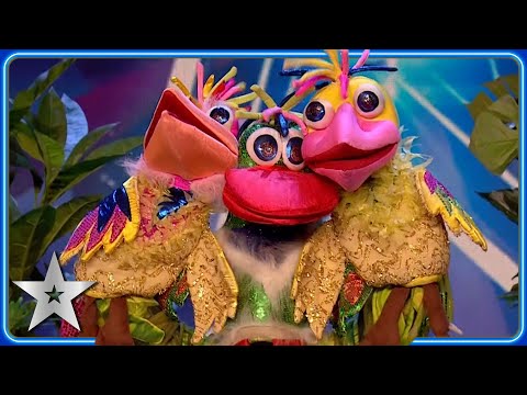 These brilliant BIRD ACTS didn't fly over our heads! | Auditions | Britain's Got Talent