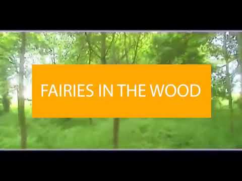 Grade 5 Module 6 Fairies in the Woods