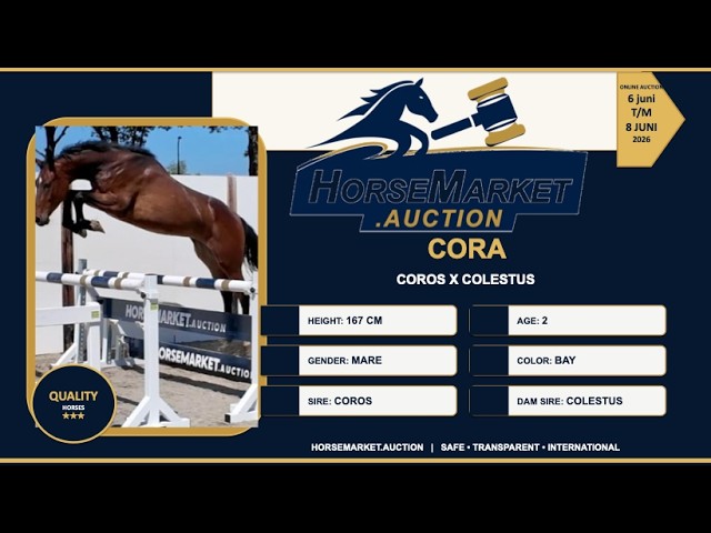 Cora