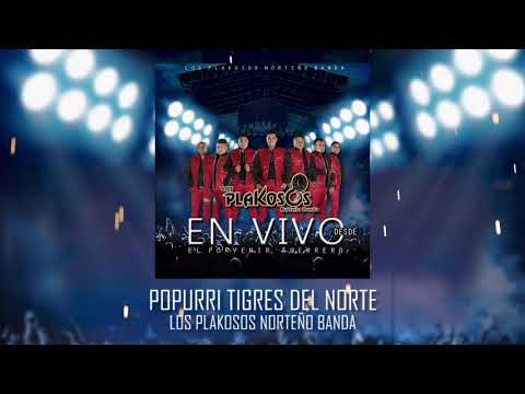Popurri Tigres del Norte - Los Plakosos Norteño Banda (En Vivo)