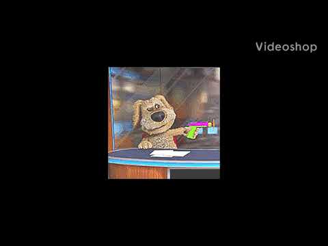 dzidza x step mader - beng beng