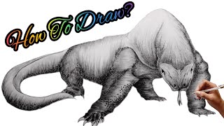 How to Draw a Komodo Dragon easy step by step for beginner|Drawning komodo dragon for tutorial