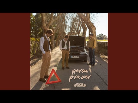 Croché - Nunca Mates o Mandarim