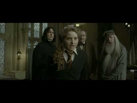 Hermione and Lavender fight over Ron | Harry Potter and the Half Blood Prince