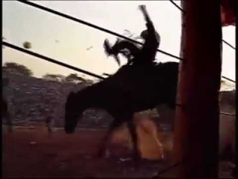 Sansao silva meneses (Rodeio de barretos Ano de 1994)