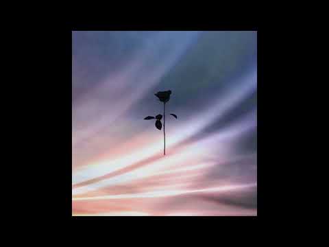 Arash Shadram - Half Of The Yellow Sun (Original Mix) [Black Rose]