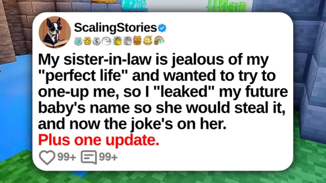 My Sister-in-Law Is Jealous of My “Perfect Life” and Wanted To Try to One-Up Me... | Reddit Updates