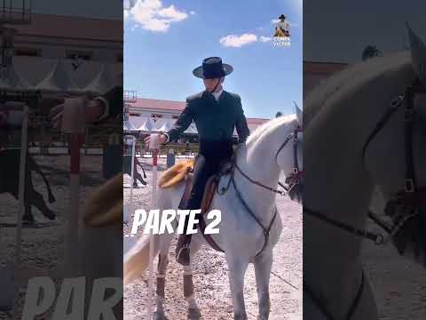 , title : 'CABALLOS LUSITANOS parte 2#LUSITANOS #CABALLOSLUSITANOS #HORSES #PRE #CABALLO #HORSES #horse'