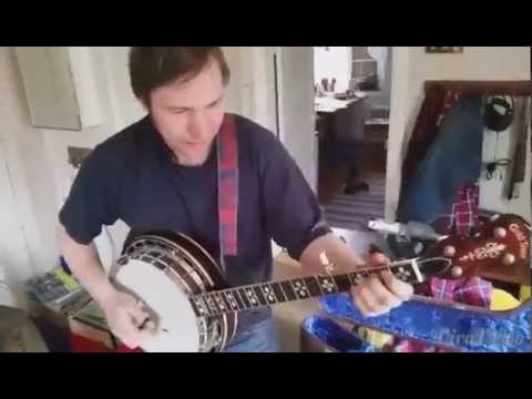 Humlan spelar banjo!