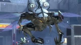 When did Each Species Join the Covenant