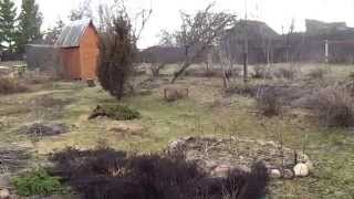 preview picture of video 'Early spring hail in Russian countryside in April | Град в апреле, Россия, Ярославская область'