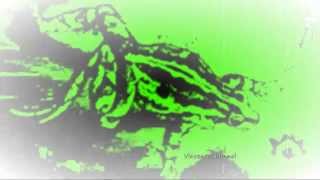 Giorgos Gatzigristos - Frog Pond (James Harcourt Remix) TULIPA084