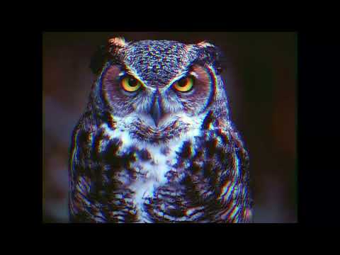 Moonlight & Dayana - Arab Money(Baykuş 2022 Remix)