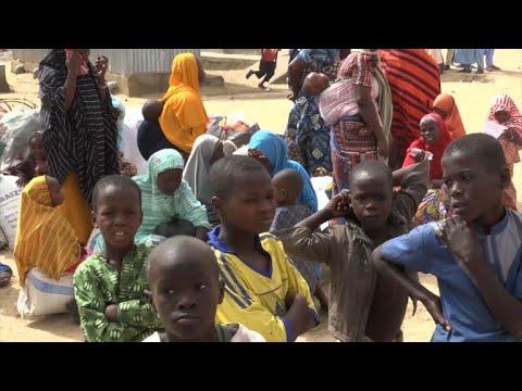Nigerian villagers flee after Boko Haram raid