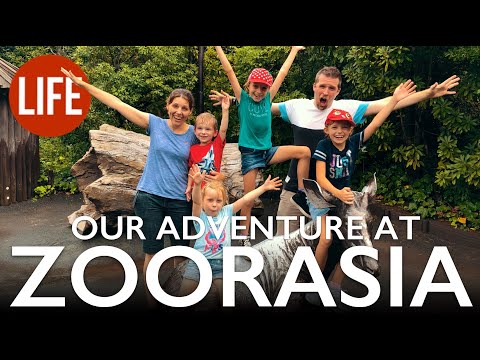 Our Adventure at Zoorasia — A Great Zoo for Families Near Tokyo | Life in Japan Episode 21