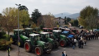 preview picture of video 'festa dell'agricoltore e del ringraziamento'