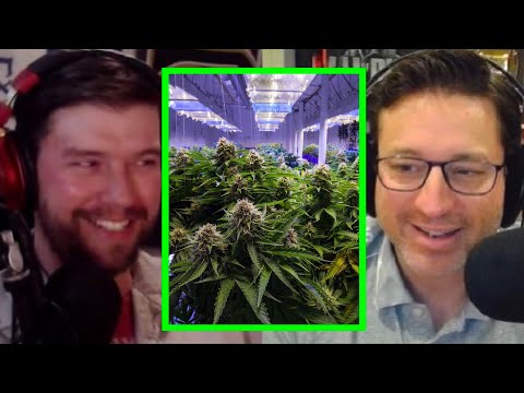 Weed Talk: Growing at Home & The First Time Smoking | PKA