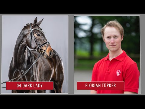Sommer-Auktion Trainingsvideo Lot 4 Dark Lady Stute v. Dante Weltino - Fabriano