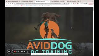 AvidDog Dog Training Landing Page Critique