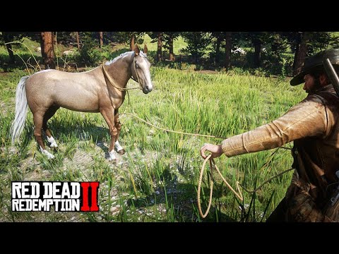 IN SEARCH OF WILD HORSES - THE HORSE TAMER - Red Dead Redemption 2