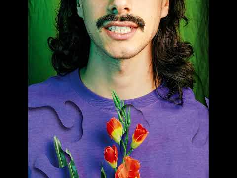 Lion Sphere - Sugar Rush