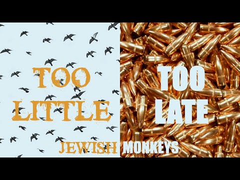 Jewish Monkeys  - Too little, Too late