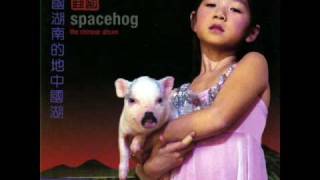 Space Hogs - Goodbye Violet Race