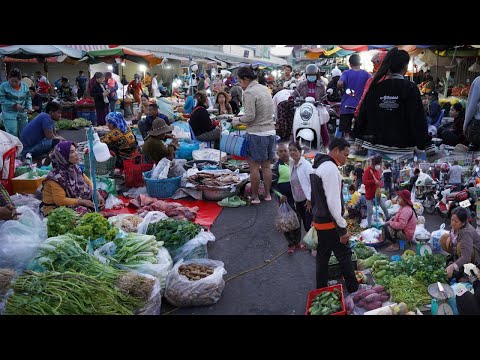 Early Morning Cambodian Vegetable Market - Daily Activities of Vendors & Buyer Selling, Buying Food
