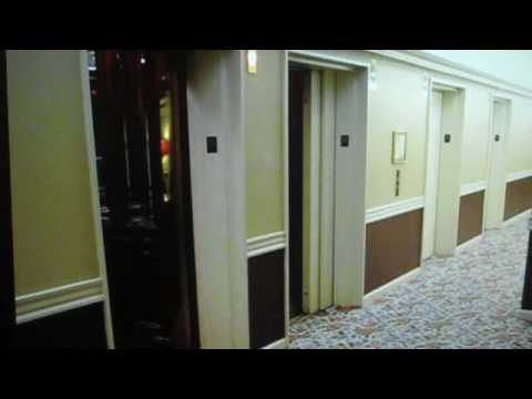 Adolphus Hotel Video 1