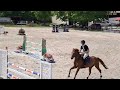 Vends cheval de sport de 8 ans