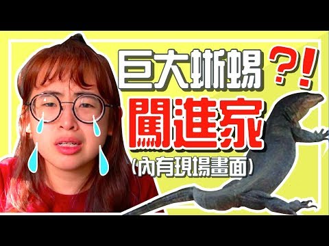 雷公蛇进屋