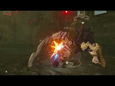 Breath of the Wild - Pro-tips: How to Salvage Lynel Guts