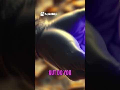 The Cash Flow Formula to Financial Freedom (Simple & Proven)