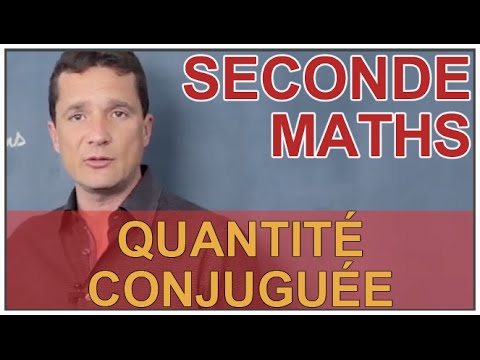 Quantité conjuguée