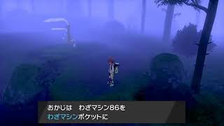【ポケモン毒タイプ縛りの旅！】（ソードシールド）その6